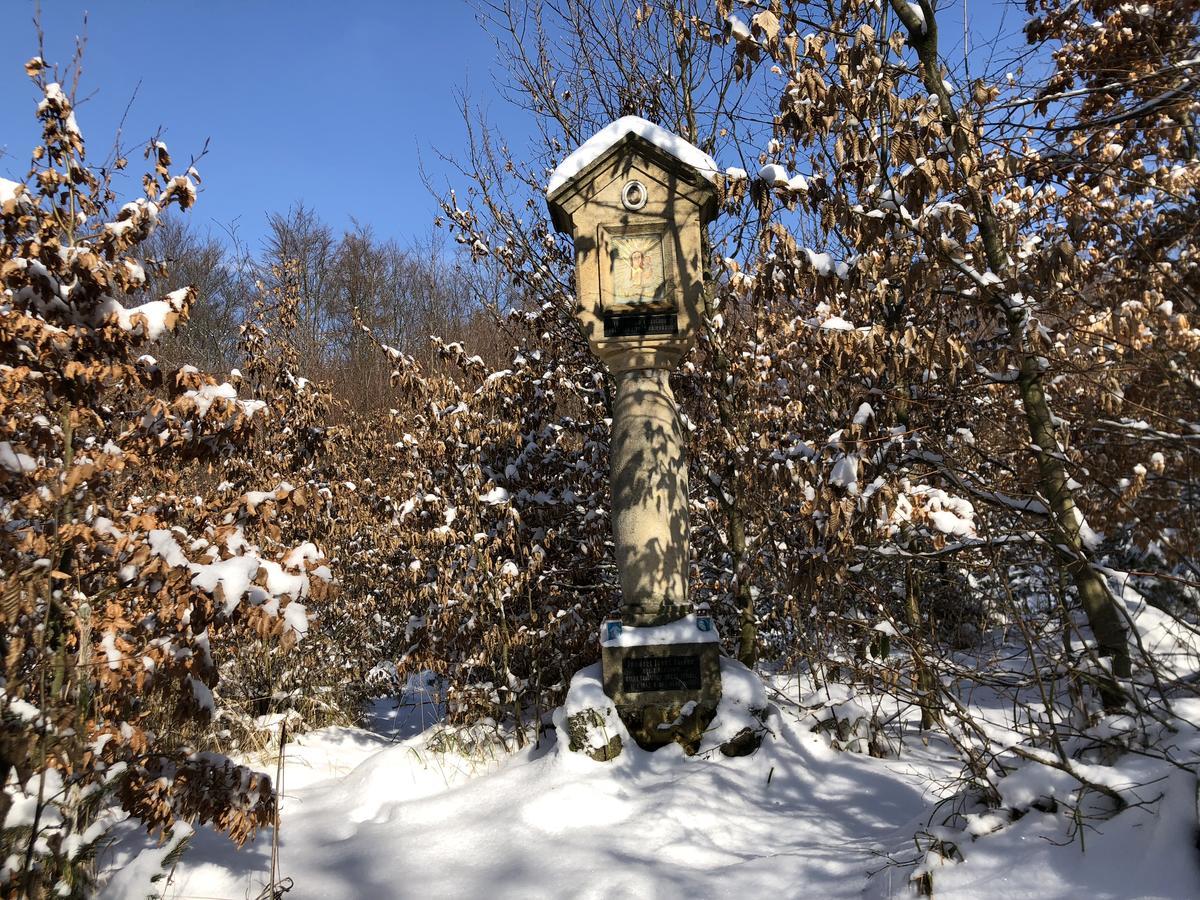 Brezina  Farma Noe 게스트하우스 외부 사진